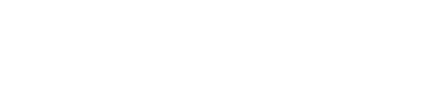 absolute wealth management white